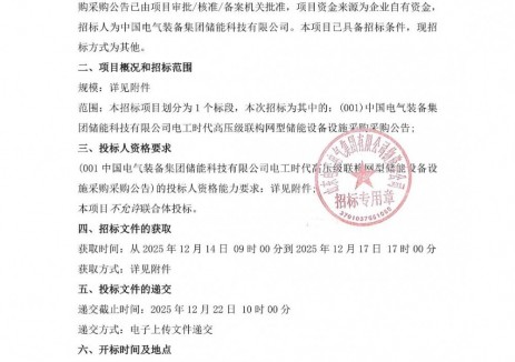 招标 | 约800MWh！电工时代高压级联构网型储能设备采购