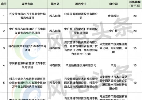 内蒙古再公示2.6GW风电项目竞配结果!