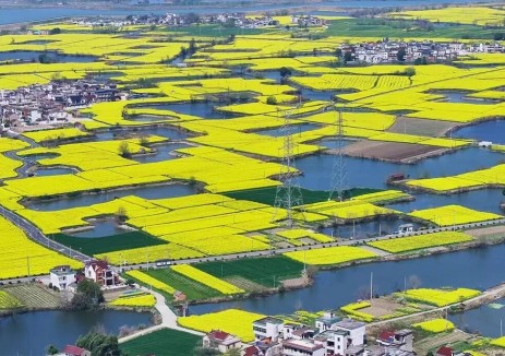 安徽芜湖首个“风光储充”一体化微电网工程投运