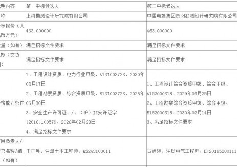 中标 | 国家能源集团400MW光伏电站勘察设计服务招标项目公示中标候选人