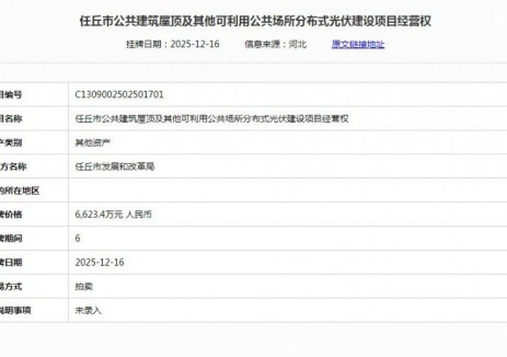 6623.4万元！河北任丘市公共建筑屋顶及其他可利用公共场所分布式光伏建设项目经营权竞拍