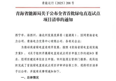 大唐安徽600MW青海绿电直连风电项目获批