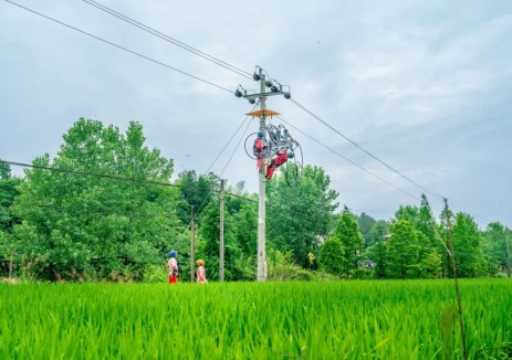 破解配网运维“三大痛点”！ 国网衢州供电数智化管控模块实现全周期闭环管理