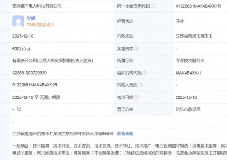 林洋能源设立光伏业务公司