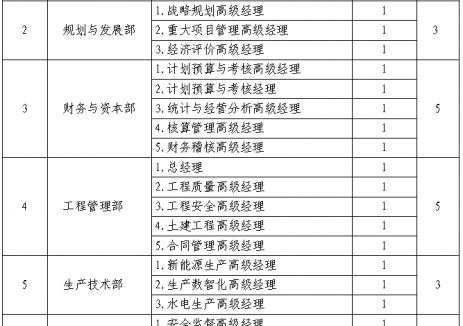 公开选聘!国家电投集团水电产业平台公司筹备组人员