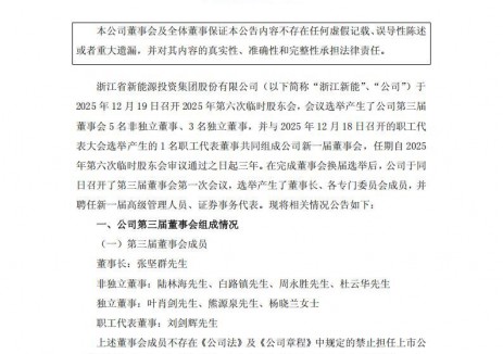 张坚群任浙江新能董事长