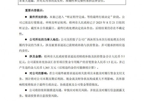 10GW光伏电池项目未如期投产！某光伏上市企业被诉退还5.1亿元财政补助资金