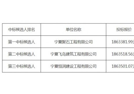 中标 | 宁夏沙坡头区新能源汽车充电站建设项目（一期）第三阶段（二标段）中标候选人公示