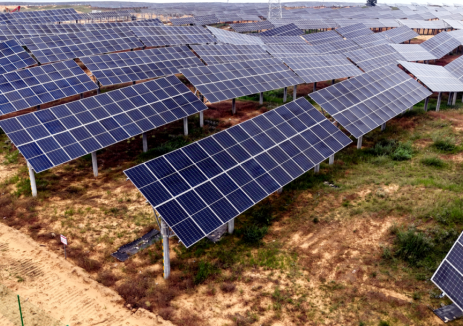 紧扣“两个细则”政策导向,协合运维助力西北200MW光伏项目斩获120万元奖励