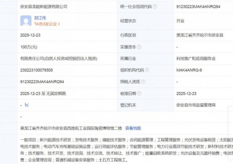 隆基绿能成立新能源新公司，含电动汽车充电基础设施业务