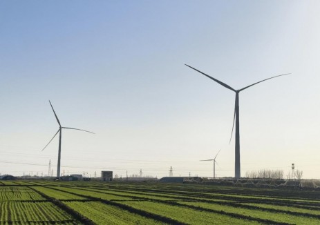 国家电投安徽公司华北分公司馆陶50兆瓦风电项目并网