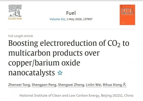 科研总院（低碳院）开发新型二氧化碳电还原制备多碳产物催化剂