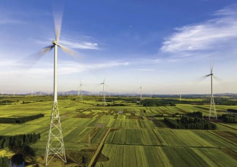 馭風四載啟新程：華斯壯金膠州風場的低碳發展圖鑒