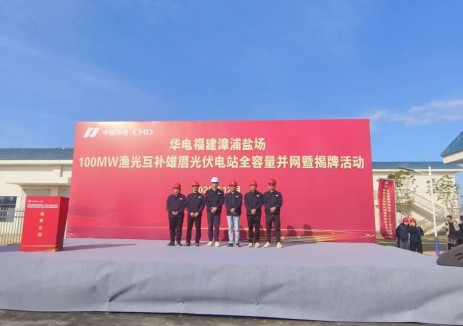 绿色生态在这里！福建漳浦盐场100MW渔光互补EPC项目全容量并网发电！