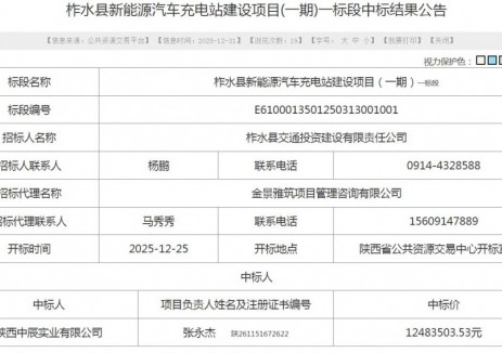中标 | 陕西柞水县新能源汽车充电站建设项目(一期)一标段中标结果公告