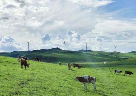 中廣核國內新能源在運裝機容量突破7000萬千瓦