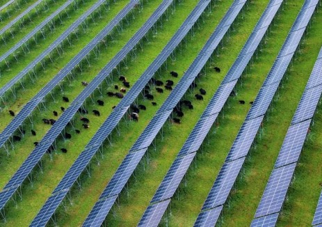 全国首个！四川中咱百万千瓦级高原山地光伏工程正式投运