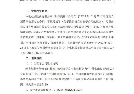 注册资本6000万元！中电电机设立新能源公司开展风光电储新能源业务
