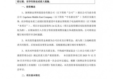 新宙邦拟投资2.6亿美元在沙特建设中东新宙邦锂离子电池材料项目