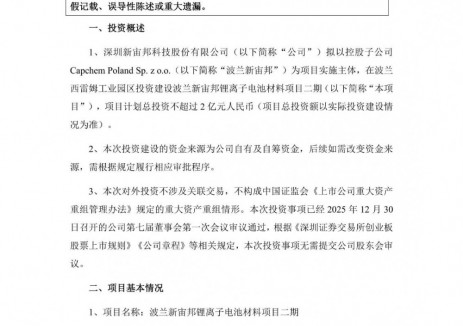 新宙邦拟投资不超2亿元建设波兰新宙邦锂离子电池材料二期项目