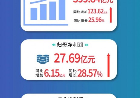 一图读懂 | 亨通光电2024年年报及2025年一季度财报