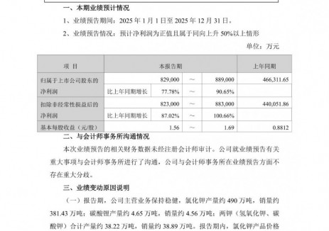 盐湖股份2025年净利润达82.9-88.9亿元，同比增长近90%！
