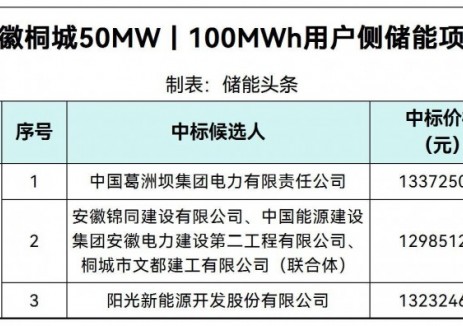 中标 | 1.2985~1.3373元/Wh!安徽桐城50MW/100MWh用户侧储能项目中标候选人公示