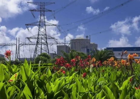 秦二厂4号机组汽轮机主汽门主调门创新优化结硕果