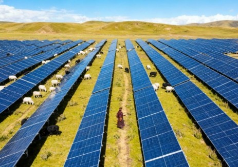 中国电力（中电国际）两个光伏项目同日并网