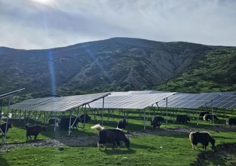 国内最大！四川这一超高海拔山地光伏项目全容量并网