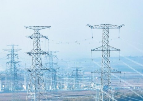 强化战略引领推动国家电网高质量发展