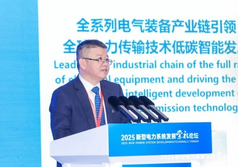 黄汉杰：坚持绿色创新发展 更好服务新型电力系统建设