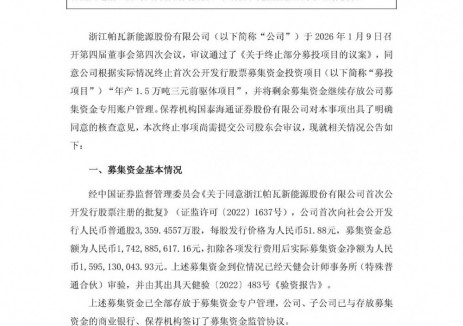 帕瓦新能源拟终止年产1.5万吨三元前驱体项目