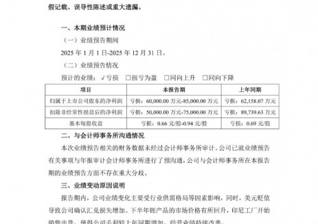 盛新锂能2025年预计净亏损6亿元-8.5亿元，业绩继续亏损