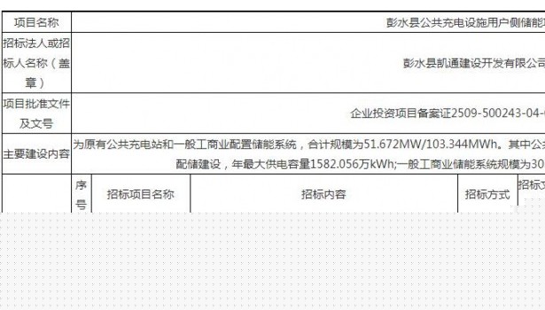招标 | 30MW/60MWh！重庆市彭水县公共充电设施用户侧储能项目招标