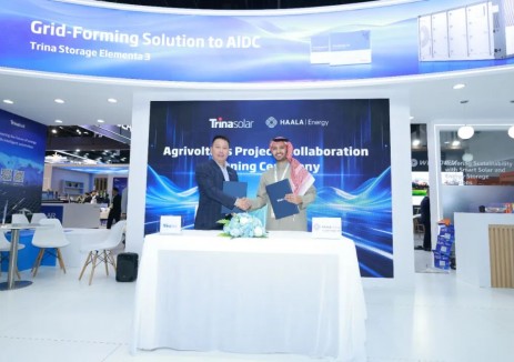 天合光能携手Haala Energy 推动农光互补项目落地沙特，加速农业可持续发展