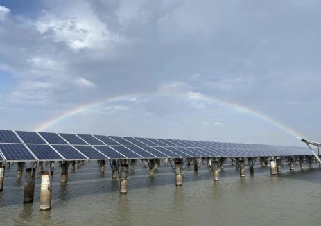中节能太阳能：点亮长江绿心 打造光伏+流域治理新样板