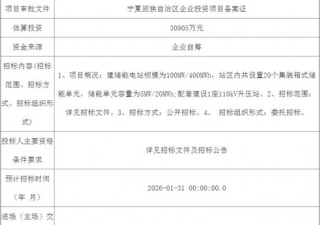 招标 | 宁夏红寺堡产业园100MW/400MWh独立储能电站招标计划发布