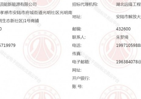 招标 | 湖北安陆市城区停车位及充电桩基础设施配套提档升级项目工程总承包(EPC)招标公告