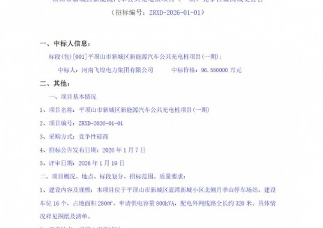 中标 | 河南平顶山市新城区新能源汽车公共充电桩项目（一期）竞争性磋商成交公告