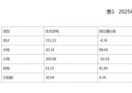 河南省2025年12月份电力供需情况通报