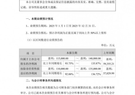 湖南裕能2025年净利同比预增94%—136%