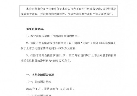万里股份预计2025年亏损4500万元