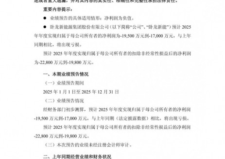 卧龙新能预计2025年归母净亏损1.7亿元-1.95亿元