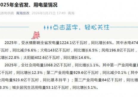 青海:2025年太阳能发电量402.6亿千瓦时,同比增长14.6%