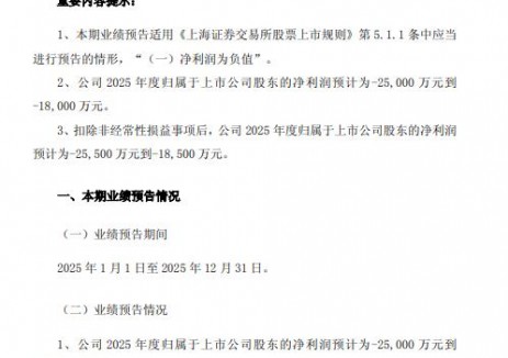 天洋新材：2025年预计1.8-2.5亿元