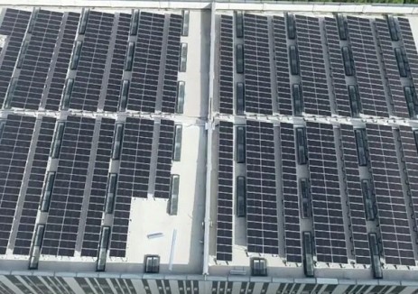 临港弘博：已携手超500家公司打造多个绿能标杆项目，产生清洁电力超8亿度