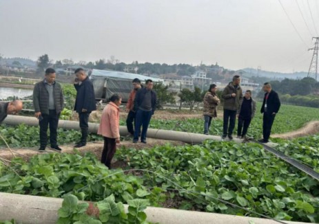 湖南怀化鹤城区湾河线输电线路项目建设全面落成