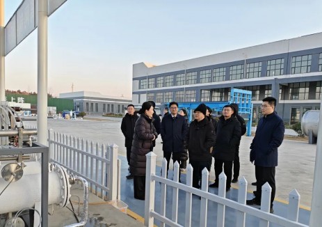 工信部规划司领导到蓝昆氢能调研 岚山区长万磊陪同