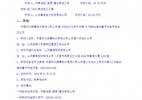 中标 | 中国石化销售股份有限公司山东德州石油分公司齐河第15加能站增设重卡充电项目成交公示